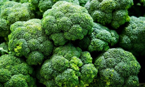 CRUCIFEROUS PART 3: It’s the BEST Time of Year for Broccoli