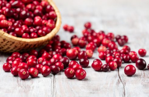 The Fall Craze for Cranberries