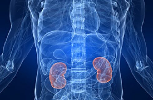 Diabetes and Your Kidneys